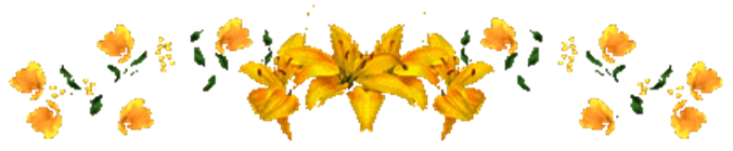 2f92b9480c4b (415x86, 8Kb)