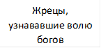 Жрецы, узнававшие волю богов