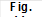 Fig. 11.