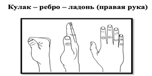 Нейротренажёр - KinesioPro