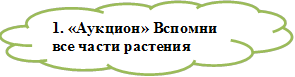 1. «Аукцион» Вспомни все части растения