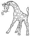 Раскраска Жираф с цветочком - распечатать бесплатно