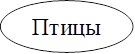 Птицы