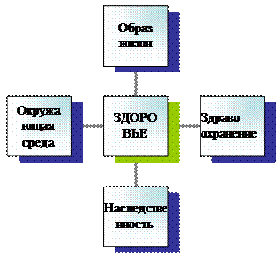 Радиальная диаграмма