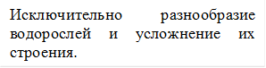 Исключительно разнообразие водорослей и усложнение их строения.