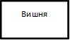 Вишня 