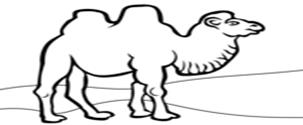 Раскраска Bactrian Camel из категории Верблюды