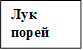 Лук порей