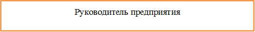 Руководитель предприятия
