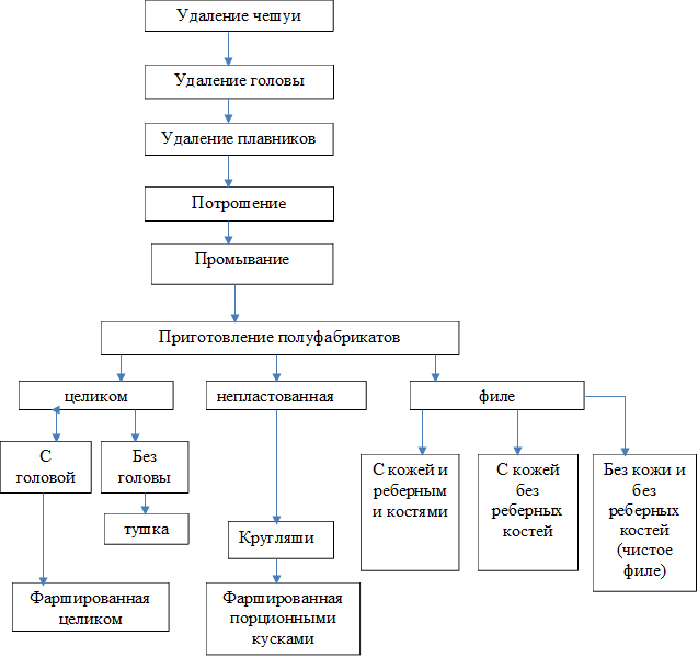 Удаление плавников,С кожей и реберными костями,С кожей без реберных костей,Без кожи и без реберных костей (чистое филе),Удаление чешуи,Удаление головы,Потрошение,Промывание

,Приготовление полуфабрикатов,целиком,непластованная,филе,С головой,Без головы,тушка,Фаршированная целиком,Фаршированная порционными кусками,Кругляши 