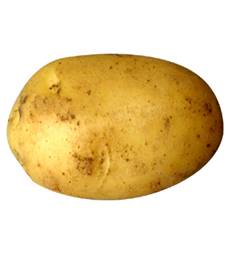 potato-b.jpg