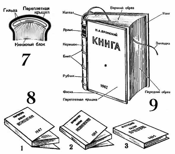 &Ncy;&acy;&kcy;&lcy;&iecy;&icy;&vcy;&acy;&ncy;&icy;&iecy; &kcy;&acy;&pcy;&icy;&tcy;&acy;&lcy;&acy;