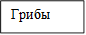 Грибы