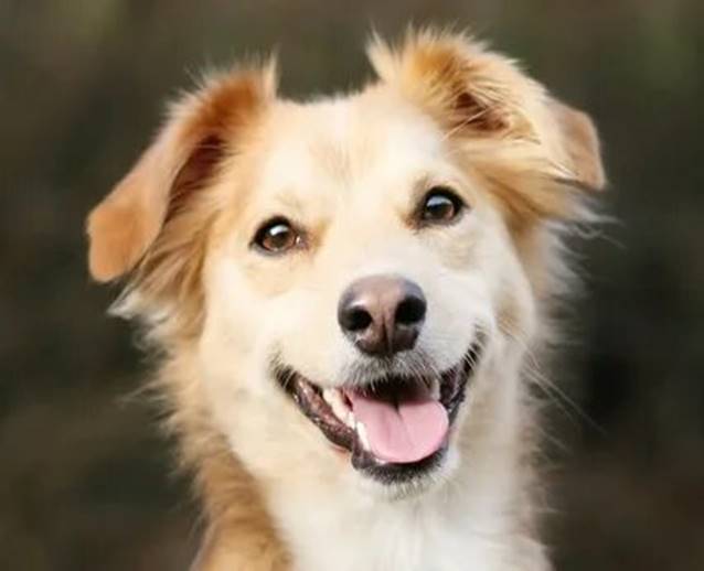 https://avatars.mds.yandex.net/i?id=352e0789d65cc8d8c157ef1d79ccd734e3df8875-5234922-images-thumbs&n=13