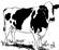 Картинки по запросу cow drawing