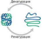 https://static-interneturok.cdnvideo.ru/content/static_image/363508/content_140b36912ae44c6a3ab457e38bcd271c.jpg