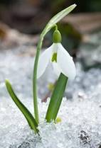 https://avatars.mds.yandex.net/i?id=1a1e670bfb4c1957baa37b99f476d01f17bbba5e-7054229-images-thumbs&n=13