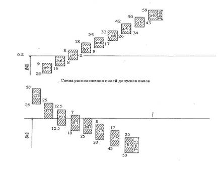 Какому размеру соответствует нулевая линия при графическом изображении