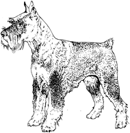 http://www.dog-pound.net/coloring-pages/dog-6.gif