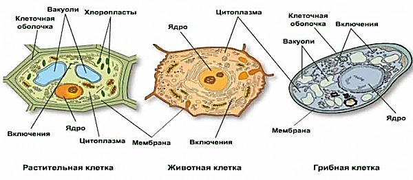 http://www.soloby.ru/?qa=blob&qa_blobid=7022698133630754185