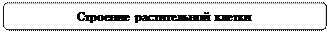 Скругленный прямоугольник: Строение растительной клетки