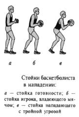 Стойка в нападении баскетболиста