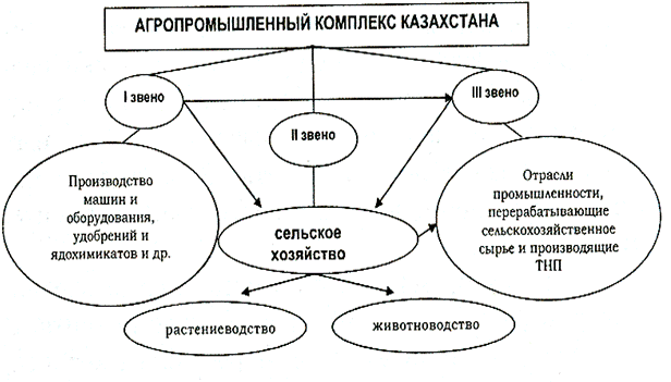 Реферат: Финансы агропромышленного комплекса