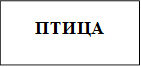 ПТИЦА