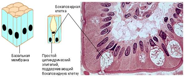 http://pochit.ru/pars_docs/refs/27/26419/26419_html_m7326dde6.png