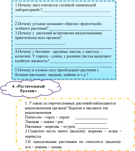 1.Почему лист считается «зелёной химической  лабораторией»?___________________________________________________________________________________
2.Почему устьице называют образно «форточкой» зелёного растения? _______________________________
3.Почему у  растений встречаются видоизменения практически всех органов? _________________________
_____________________________________________________
4.Почему у бегонии – крупные листья, у кактуса – колючки. У гороха – усики, у росянки листья выделяют клейкую жидкость? _______________________________
_____________________________________________________
5.Почему в еловом лесу преобладают растения с белыми цветками: ландыш, майник и т.д.? ___________________
___________________________________________________________________________________________________________________________________________________________________________________________________________________________________
,4. «Растительный Ералаш»

