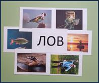 photo_2026-02-12_19-35-12 (4)