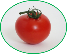 1243075234_tomato2.jpg