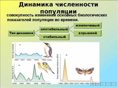 https://xn--j1ahfl.xn--p1ai/data/images/u144886/t1515656035ad.jpg