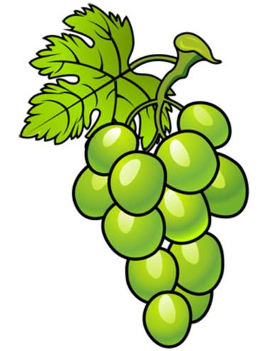 https://idrawing.ru/images/articles/103-grapes/grapes.jpg