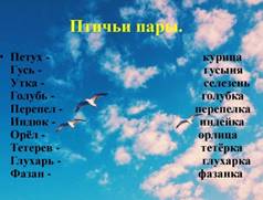 https://sun9-25.userapi.com/impg/FC9iMjN5C9Q-rwr6i9WC3CDneZ6FZ6i-cXdTCA/7bdPWmFS_6M.jpg?size=1024x767&quality=96&sign=655319c40ee73cc14772c8627bbd21e2&type=album