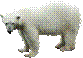 Polar_Bears_37.png