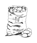 Znalezione obrazy dla zapytania potatoes drawing