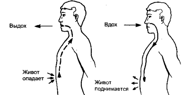 https://resh.edu.ru/uploads/lesson_extract/4779/20190517174438/OEBPS/objects/c_ptls_10_3_1/0e8740b5-d90b-4b6d-bae9-be41029dbae5.png