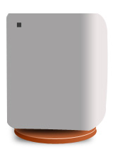 rectangle tool