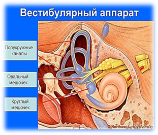 https://cdn2.arhivurokov.ru/multiurok/html/2018/10/24/s_5bd0c58954059/977353_1.jpeg