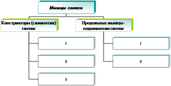 Организационная диаграмма