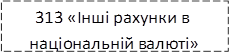313 «Інші рахунки в національній валюті»