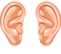 https://clipartspub.com/images/ears-clipart-left-ear-3.jpg