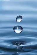 https://avatars.mds.yandex.net/i?id=8b47cffb4f9c8225ad6569e245d23dac727a71e7-5236607-images-thumbs&n=13