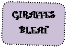 Скругленный прямоугольник: GIRAFFES BLEAT