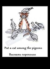 https://pp.userapi.com/c845418/v845418846/2d626/qyZJDnzt1qc.jpg