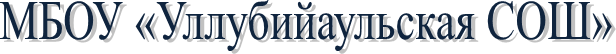 МБОУ «Уллубийаульская СОШ» 
