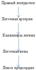 Описание: http://festival.1september.ru/articles/637179/img2.gif