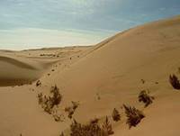 300px-Gobi_Desert