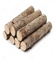 Pine logs on white — Stock Photo © jianghongyan #122340488